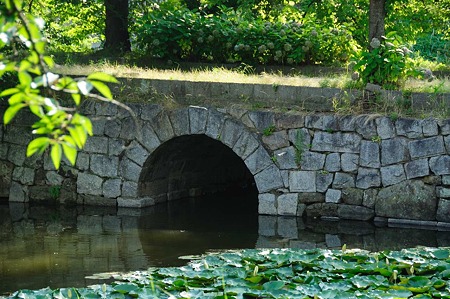 1107121629_DSC_5826
