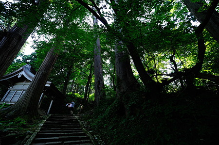 1108130835_DSC_4358
