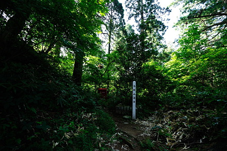 1108130835_DSC_4359