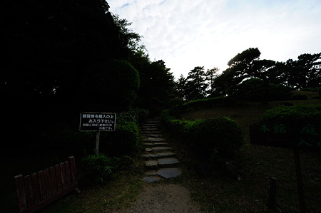 1108131625_DSC_4906