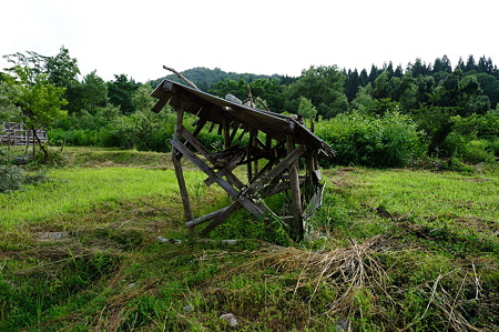 1108141501_DSC_6082