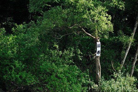 1108150909_DSC_6330