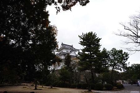 1011231007_DSC_4248
