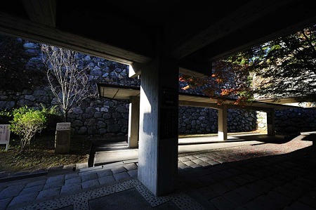 1011231520_DSC_4754