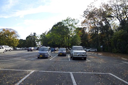 1011240906_P1710848