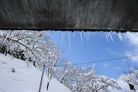 1101011212_DSC_6184