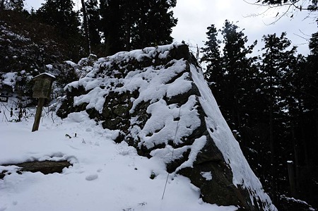 1101021231_DSC_7172