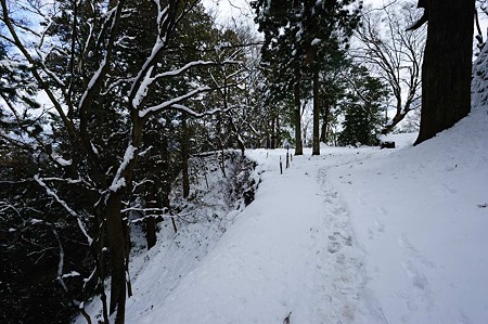 1101021243_DSC_7245