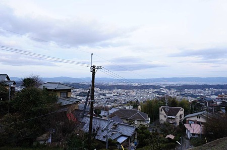 1101031647_DSC_8274