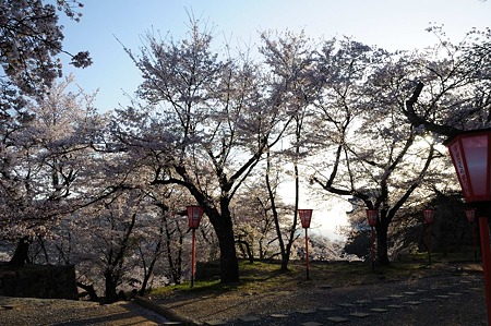 1104121722_DSC_4964