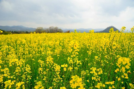 1104271037_DSC_9963