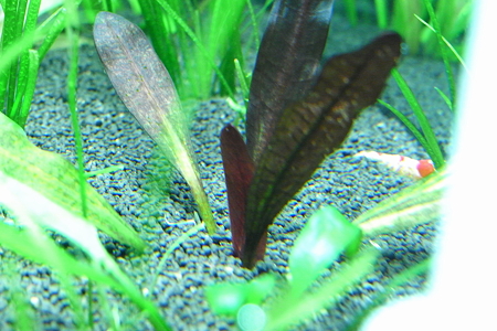 RIMG0028