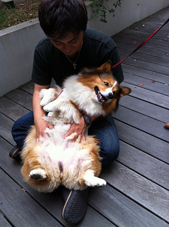 写真 2