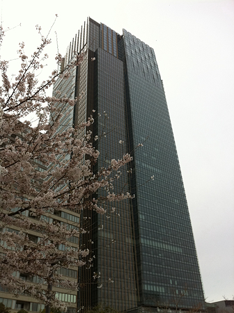写真 5