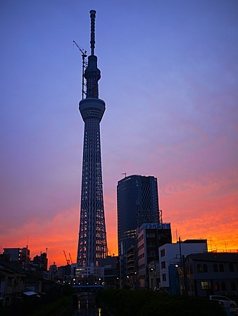 夕日