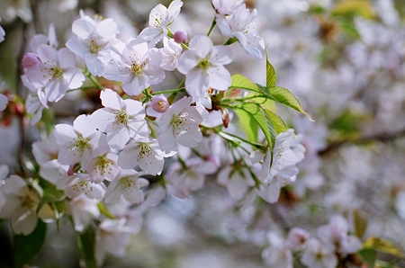 PICT0025