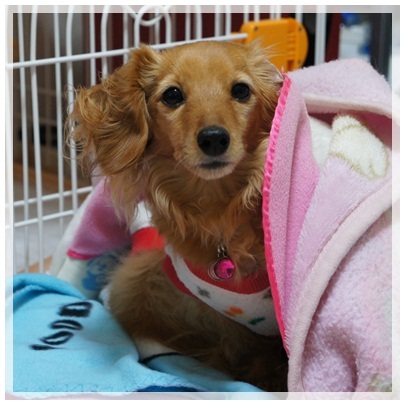 20120222 JURI