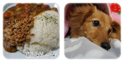 20120308 一人晩ごはん♪