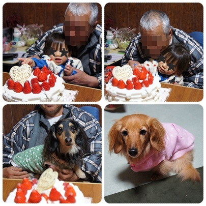 20120401 ケーキ☆