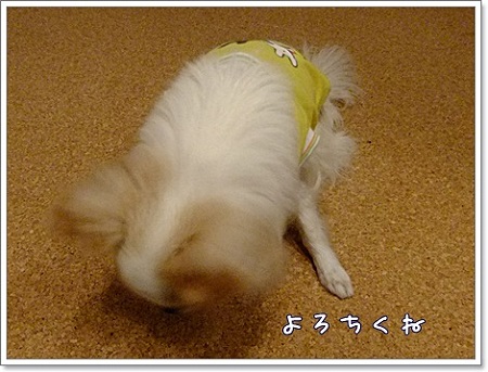 よろしく