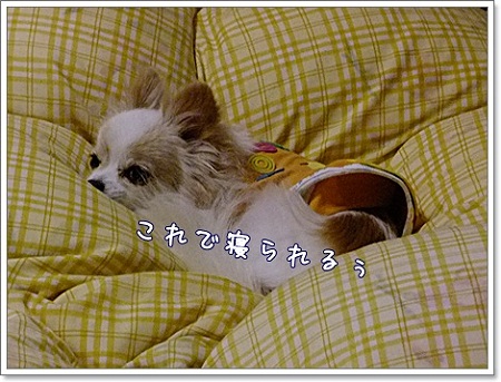 寝んね