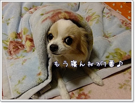 寝んね