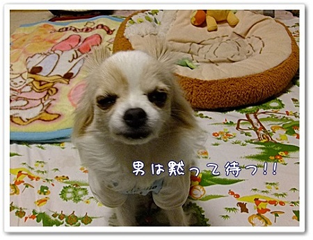 黙って待つ