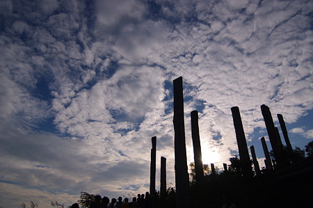 IMGP8781