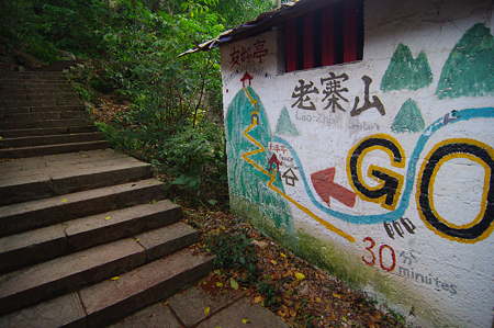 IMGP2595