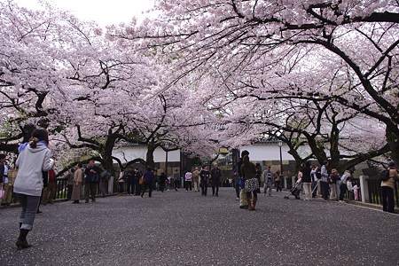 田安門 (10)