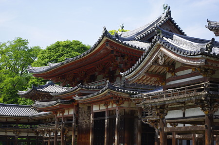 平等院 (16)