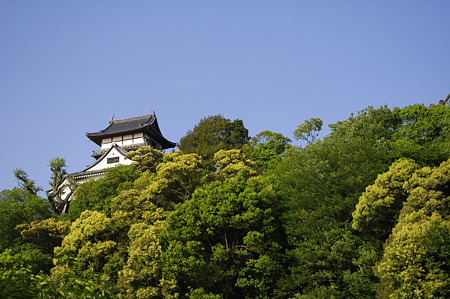 犬山城 (17)