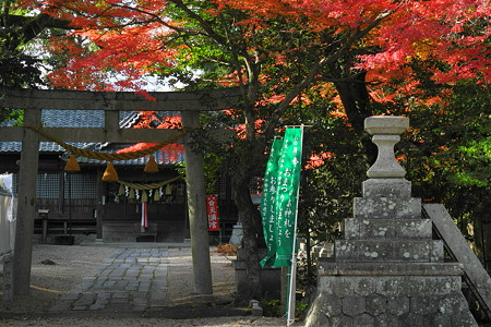 亀山公園の紅葉・4