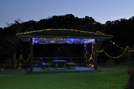 河村瑞賢公園の夜景-7