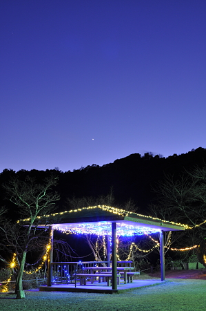 河村瑞賢公園の夜景-9
