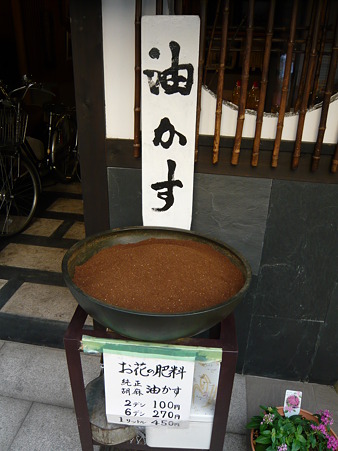 2011年お盆京都帰省 032