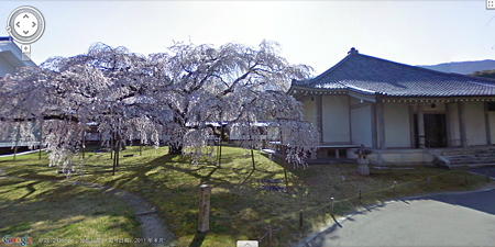又是樱花盛开时,赶紧用GoogleEarth看看实景的日本樱花吧