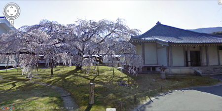kyoto xinghusi