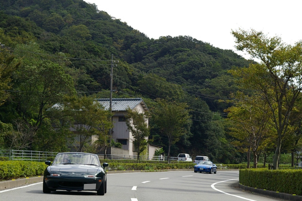 ゆったりとした雰囲気が伝わってきます