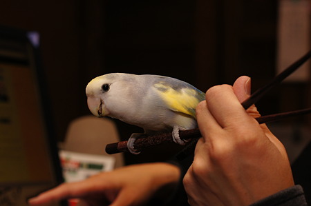 DSC02454