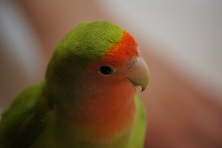 DSC08951