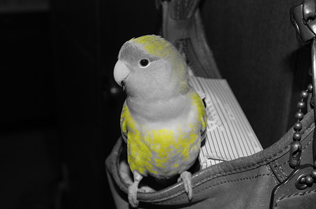 DSC01126