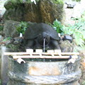 神社  　shrine