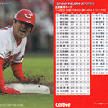 カルビープロ野球カード2010