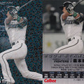 カルビープロ野球カード2009