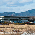 笠松競馬場(12.01.2015)